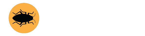 Samsa